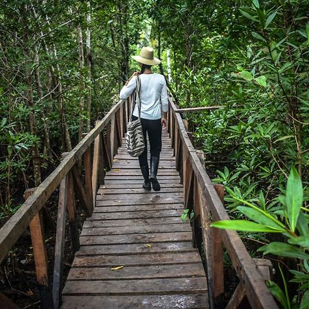 Jardin Botanico Del Pacifico Y Mecana Ecohotel Баия-Солано Экстерьер фото