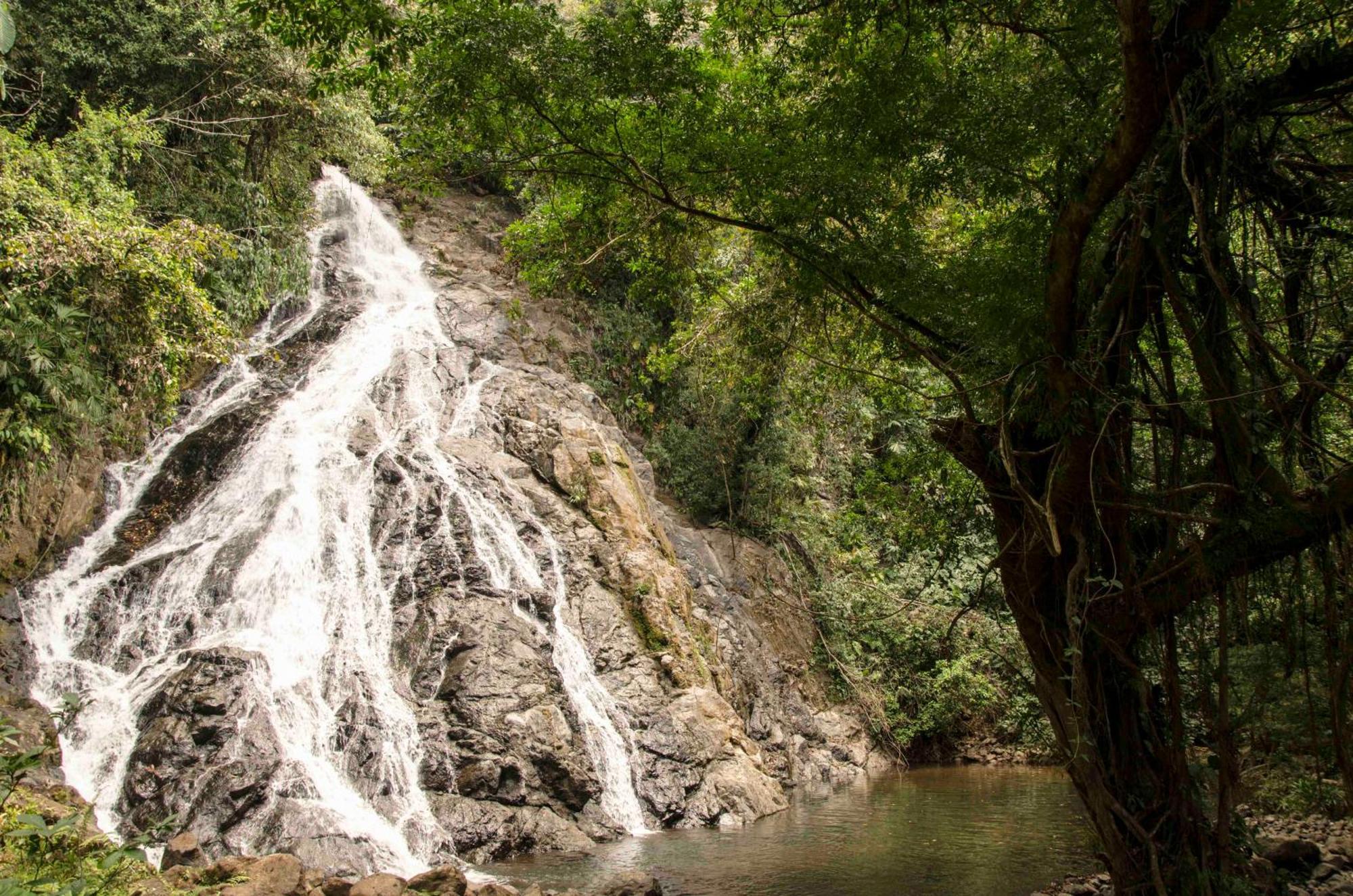 Jardin Botanico Del Pacifico Y Mecana Ecohotel Баия-Солано Экстерьер фото