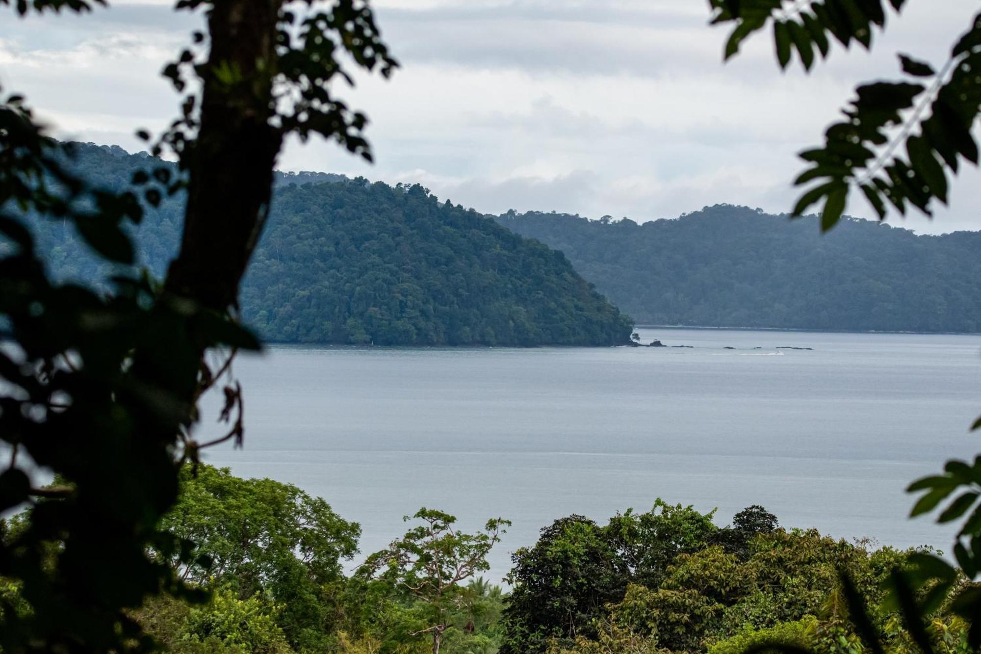 Jardin Botanico Del Pacifico Y Mecana Ecohotel Баия-Солано Экстерьер фото