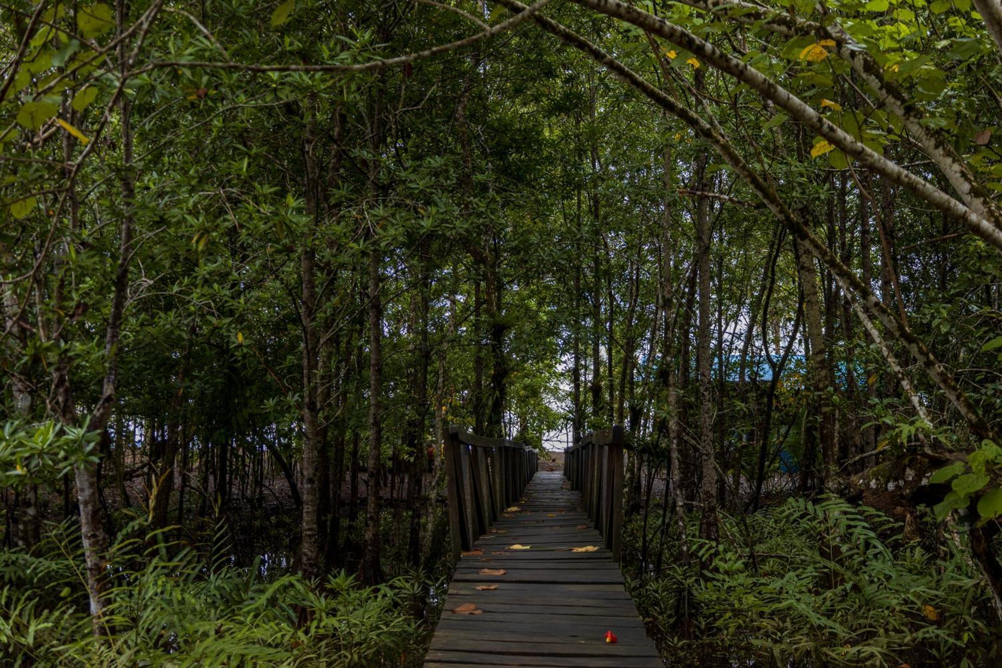 Jardin Botanico Del Pacifico Y Mecana Ecohotel Баия-Солано Экстерьер фото