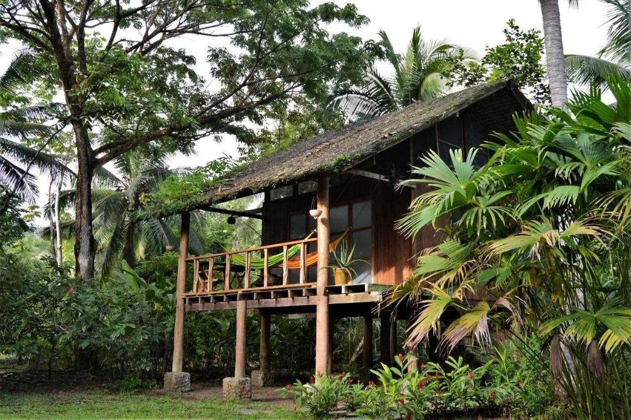 Jardin Botanico Del Pacifico Y Mecana Ecohotel Баия-Солано Экстерьер фото