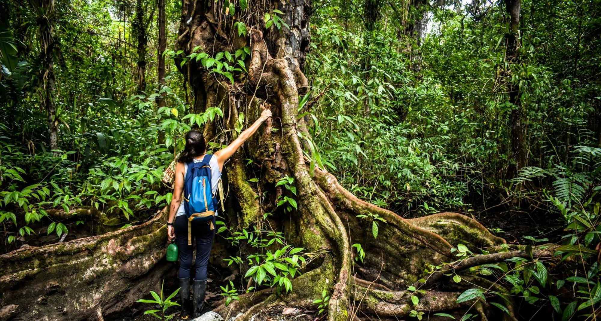 Jardin Botanico Del Pacifico Y Mecana Ecohotel Баия-Солано Экстерьер фото