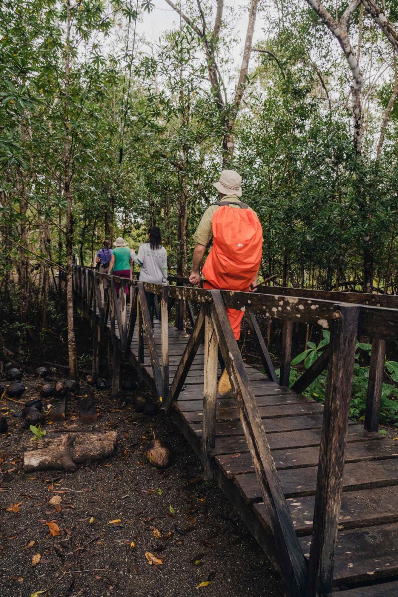 Jardin Botanico Del Pacifico Y Mecana Ecohotel Баия-Солано Экстерьер фото