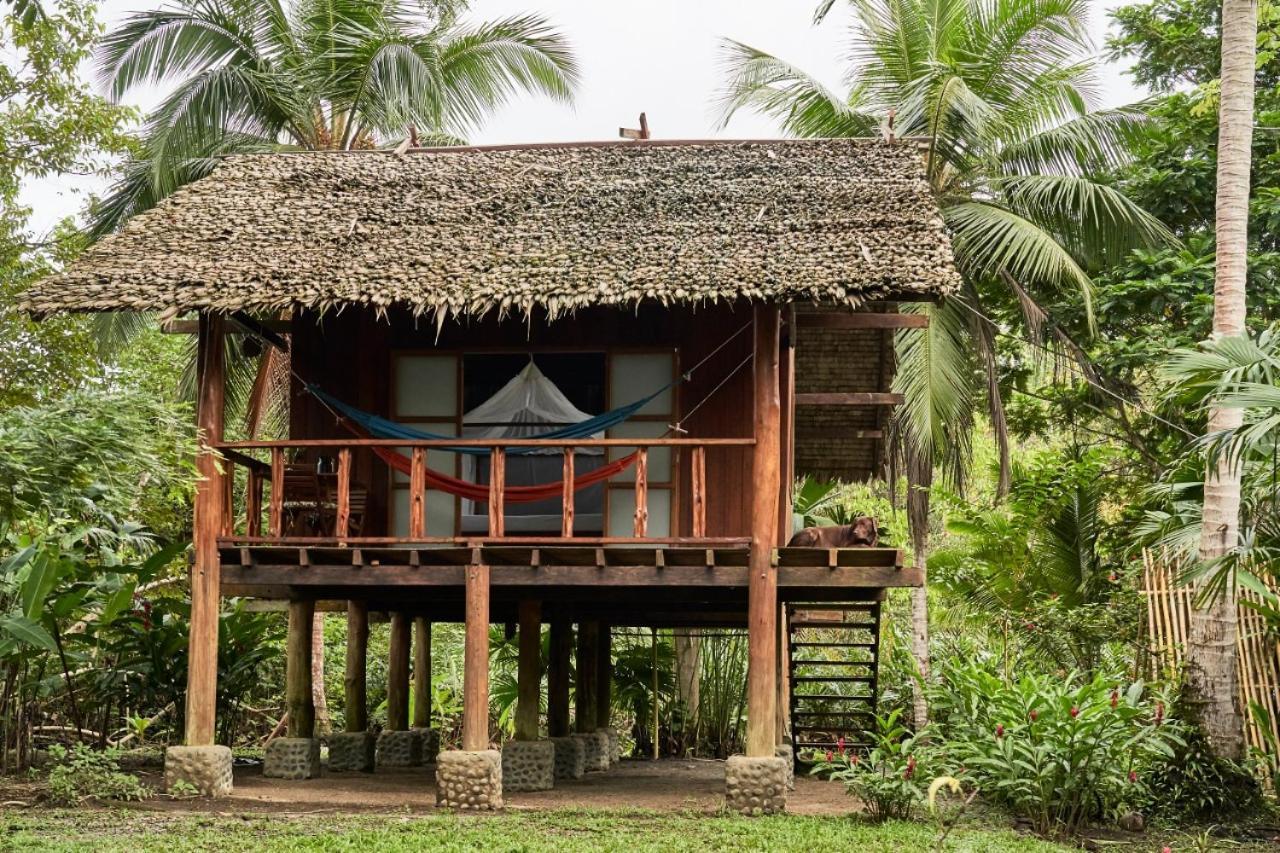 Jardin Botanico Del Pacifico Y Mecana Ecohotel Баия-Солано Экстерьер фото