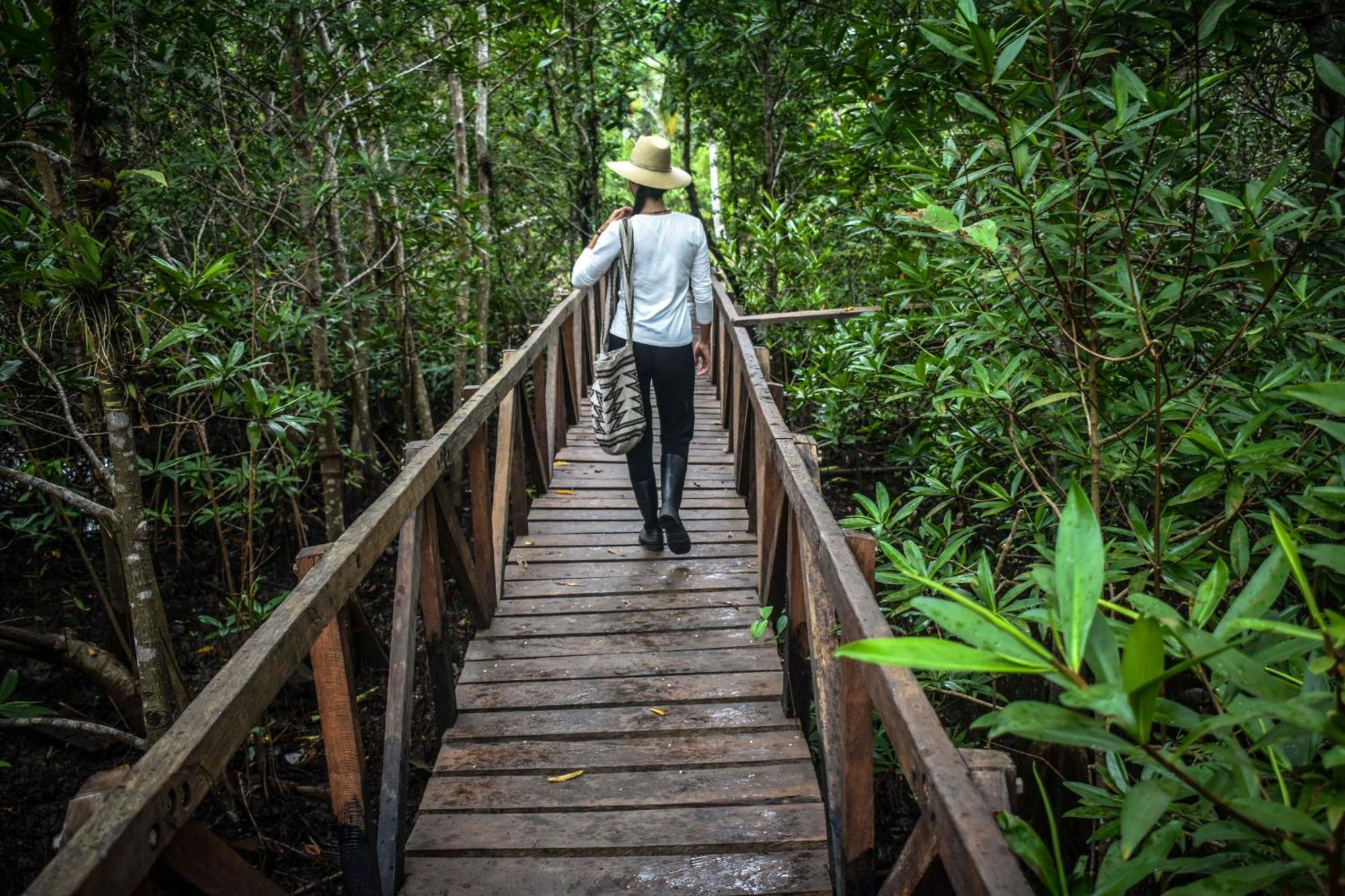 Jardin Botanico Del Pacifico Y Mecana Ecohotel Баия-Солано Экстерьер фото