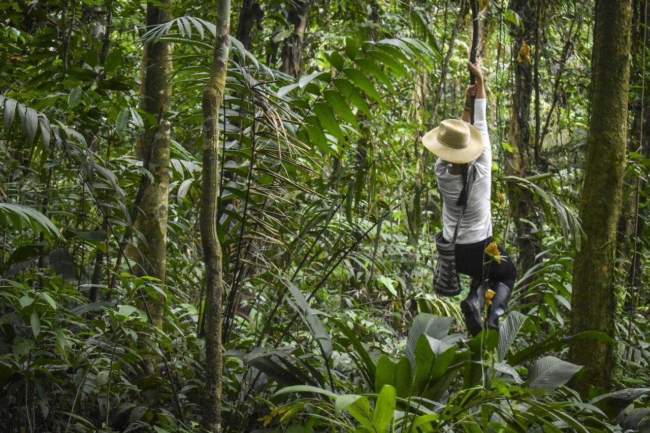Jardin Botanico Del Pacifico Y Mecana Ecohotel Баия-Солано Экстерьер фото