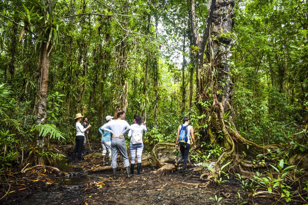 Jardin Botanico Del Pacifico Y Mecana Ecohotel Баия-Солано Экстерьер фото