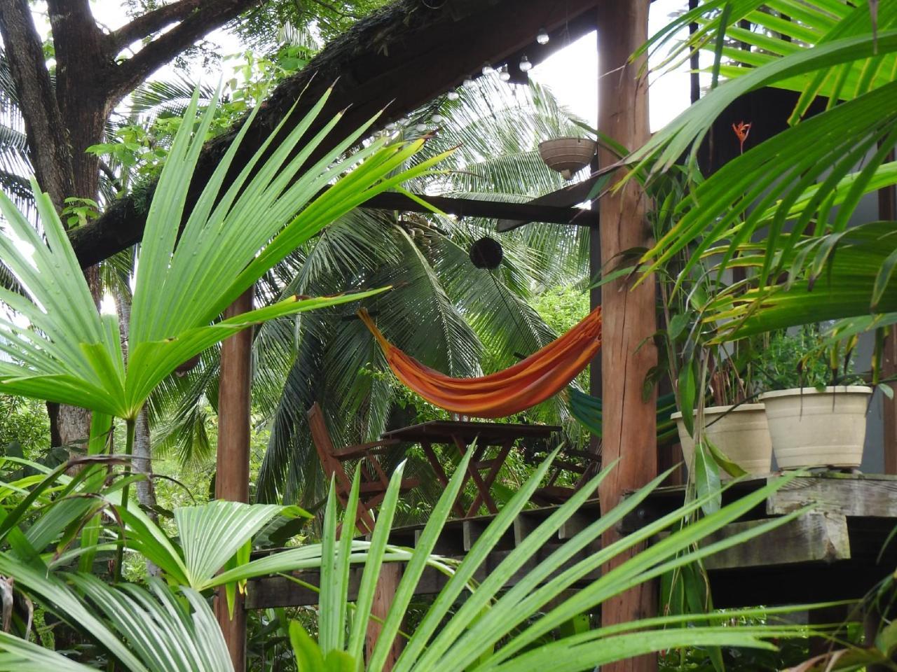 Jardin Botanico Del Pacifico Y Mecana Ecohotel Баия-Солано Экстерьер фото