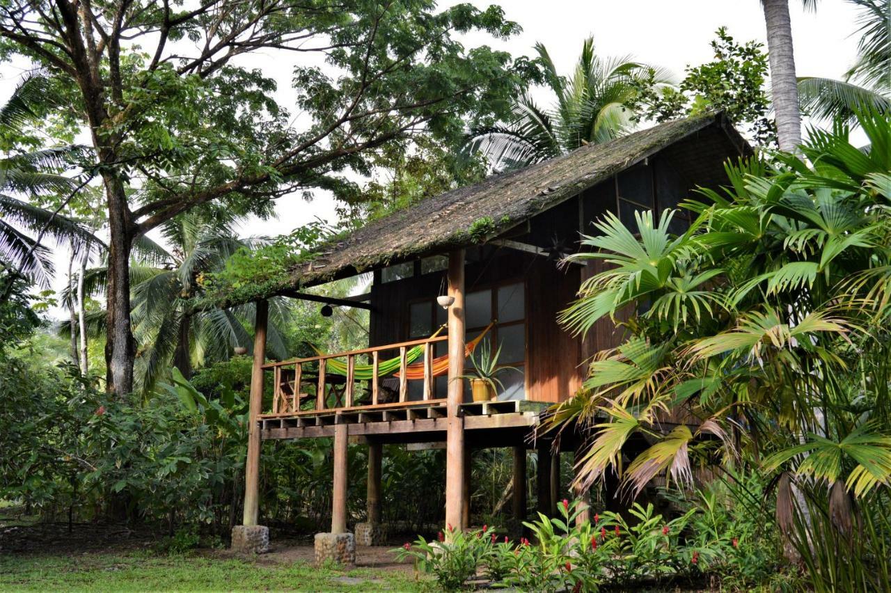 Jardin Botanico Del Pacifico Y Mecana Ecohotel Баия-Солано Экстерьер фото