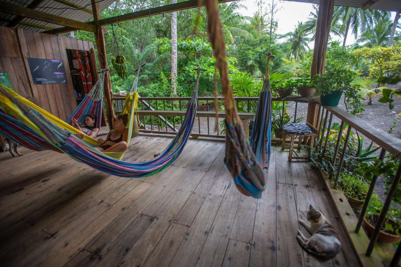 Jardin Botanico Del Pacifico Y Mecana Ecohotel Баия-Солано Экстерьер фото